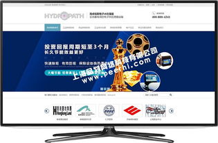 閔行網(wǎng)站制作與設計 打造專業(yè)高效的數(shù)字形象