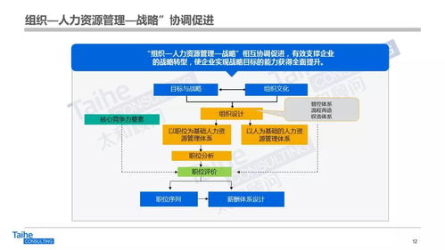 構建以網(wǎng)絡技術開發(fā)為驅動的人力資源管理體系，助力企業(yè)實現(xiàn)跨越式發(fā)展